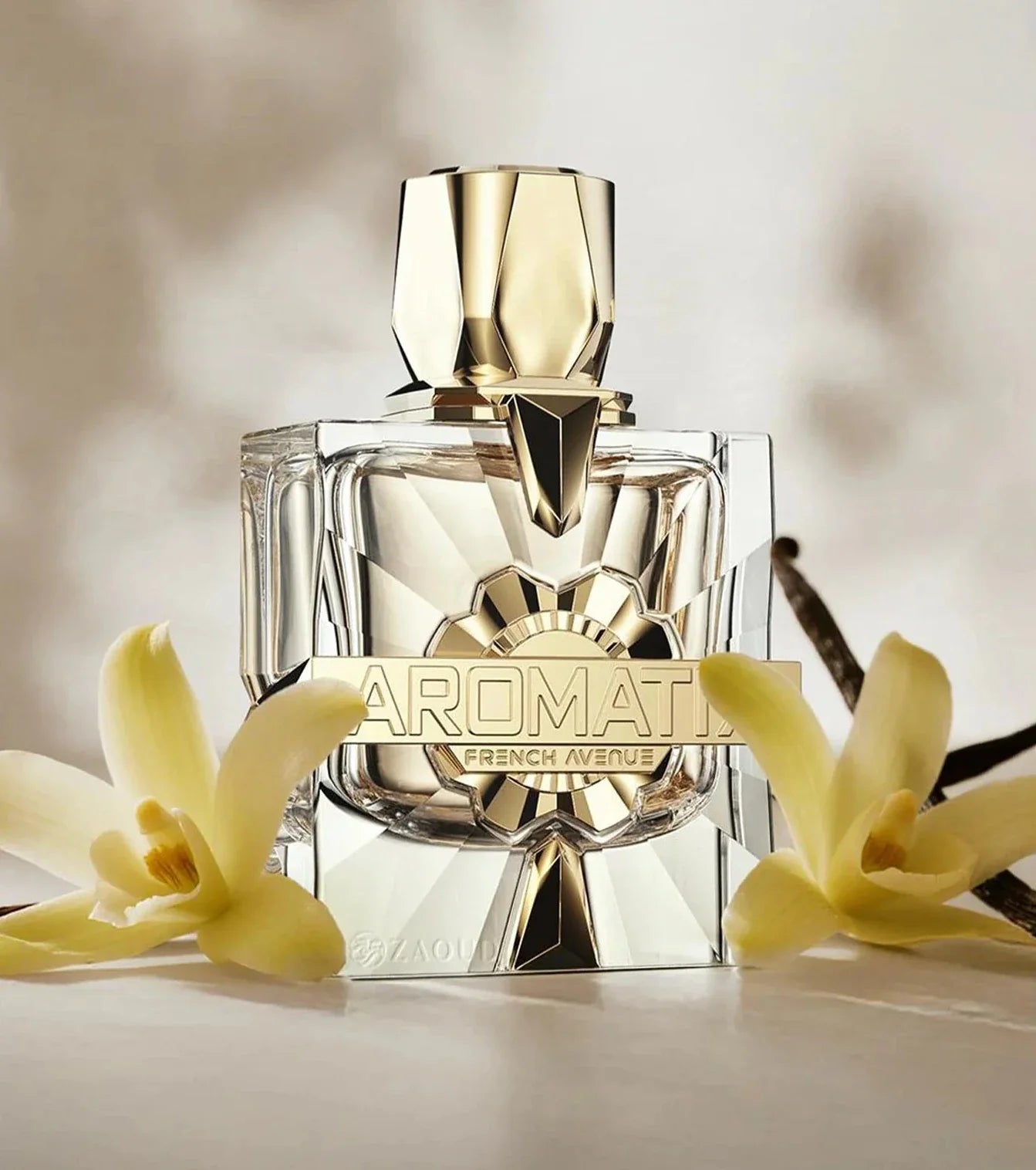 Aromatix X Xandal - 100ml by French Avenue